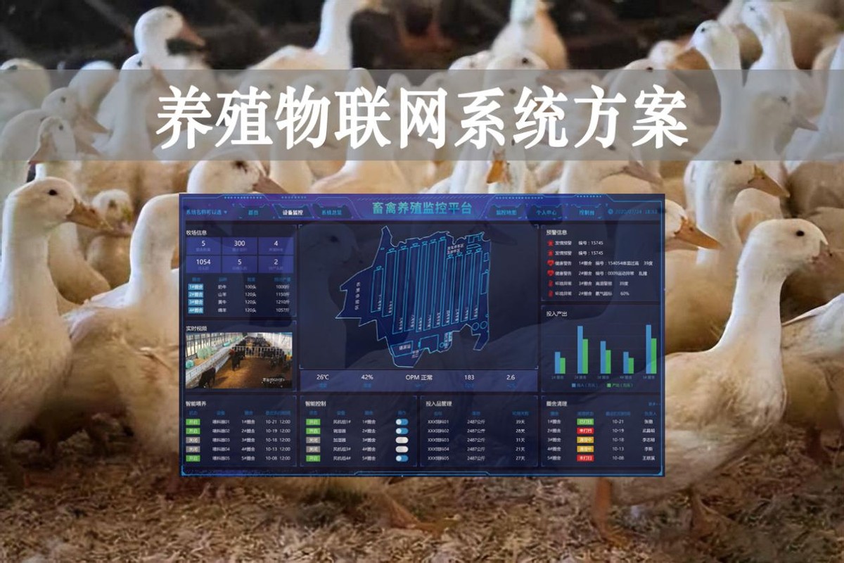 【智慧养殖】数字经济时代到来，养殖物联网系统方案来了