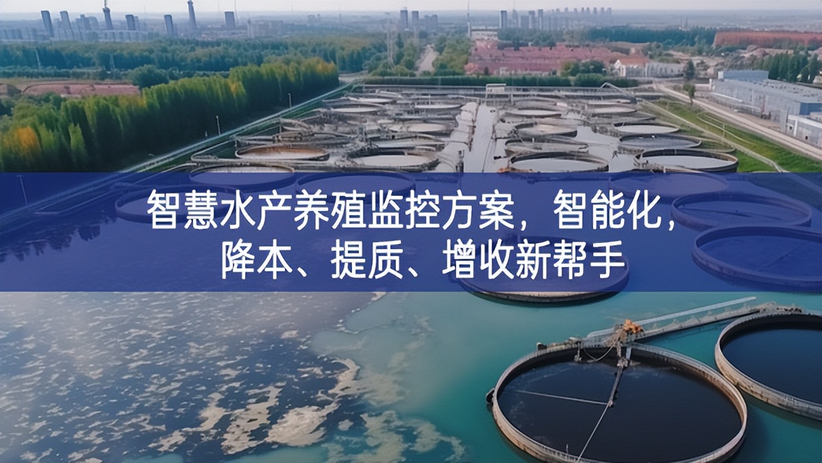 智慧水产养殖监控方案，智能化，降本、提质、增收新帮手