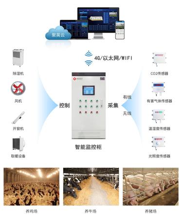 系统硬件组网拓扑图 系统硬件组网拓扑图