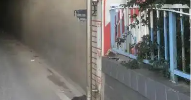 隧道智能化监测项目