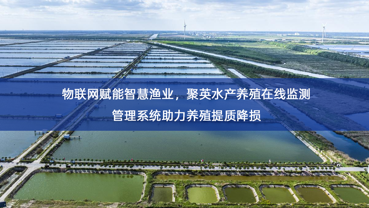 首图.png