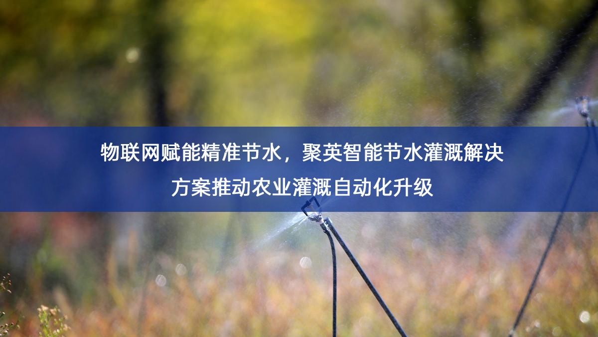 首图.jpg