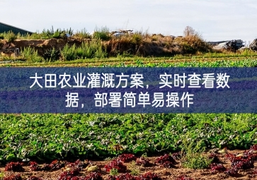 「智慧农业」大田农业灌溉方案，实时查看数据，部署简单易操作