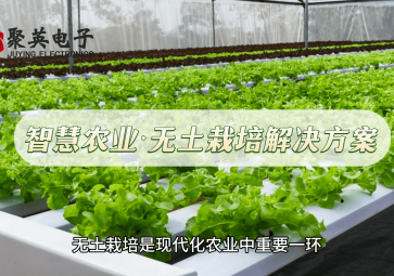 智慧农业无土栽培监测方案