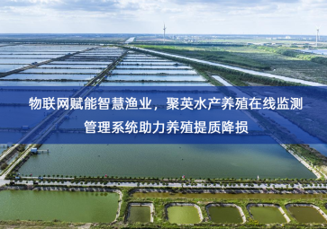 「智慧养殖」物联网赋能智慧渔业，聚英水产养殖在线监测管理系统助力养殖提质降损