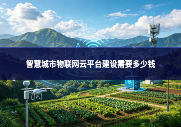 智慧城市物联网云平台建设需要多少钱