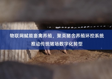 「智慧养殖」物联网赋能畜禽养殖，聚英猪舍养殖环控系统推动传统猪场数字化转型