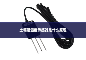 土壤温湿度传感器是什么原理