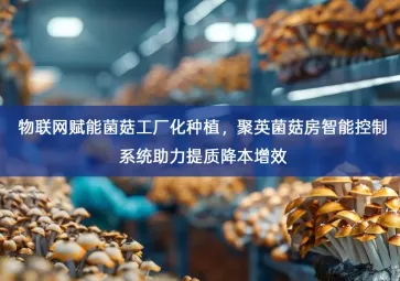 「智慧养殖」物联网赋能菌菇工厂化种植，聚英菌菇房智能控制系统助力提质降本增效