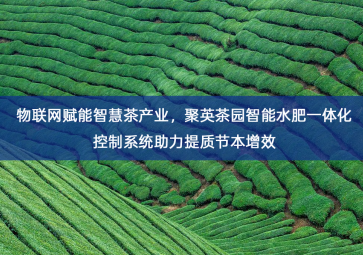 「智慧农业」物联网赋能智慧茶产业，聚英茶园智能水肥一体化控制系统助力提质节本增效