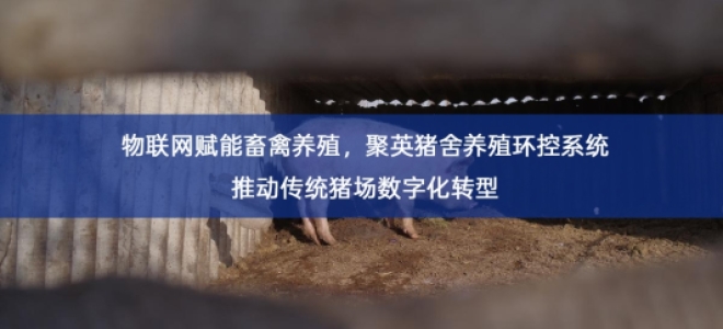 「智慧养殖」物联网赋能畜禽养殖，聚英猪舍养殖环控系统推动传统猪场数字化转型